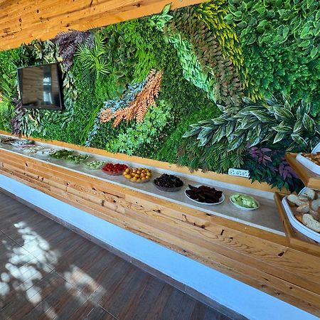 Amsterdam Boutique Hotel Kemer Kültér fotó