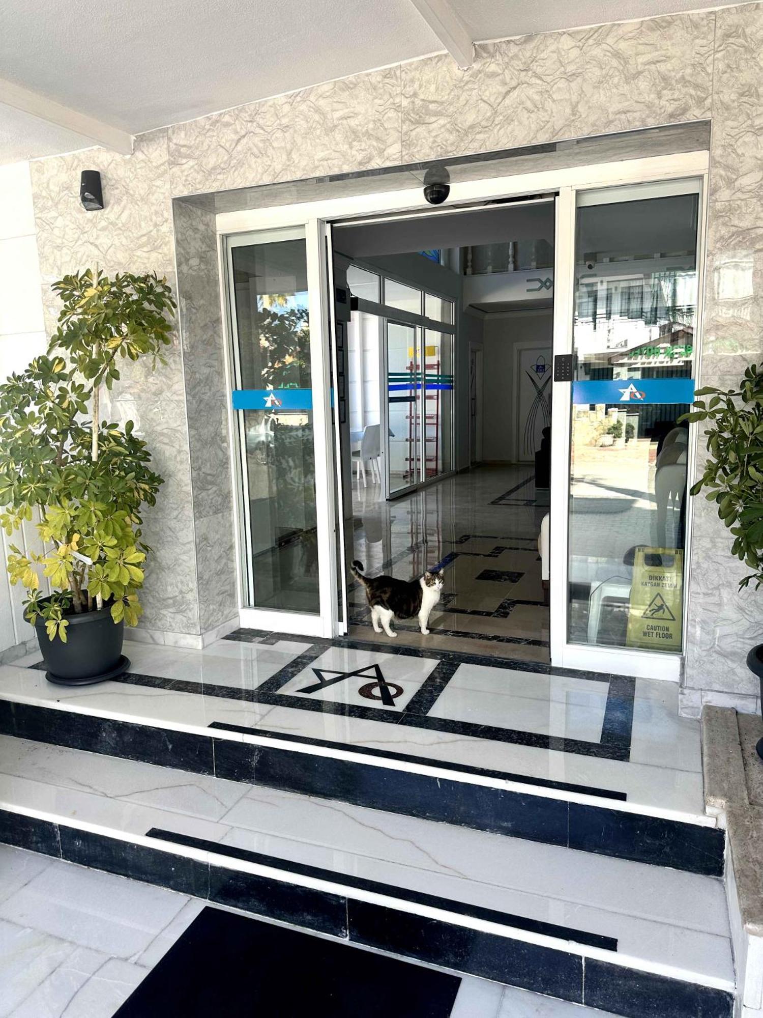 Amsterdam Boutique Hotel Kemer Kültér fotó